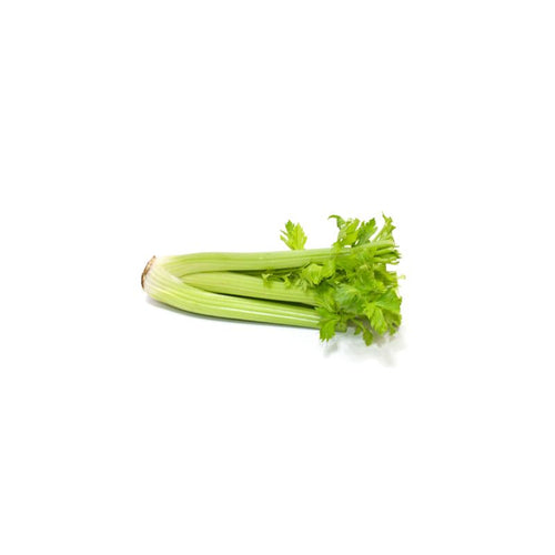 Fresh Celery per kg at zucchini